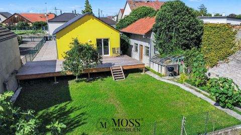 Rumersheim-le-Haut Häuser, Rumersheim-le-Haut Haus kaufen