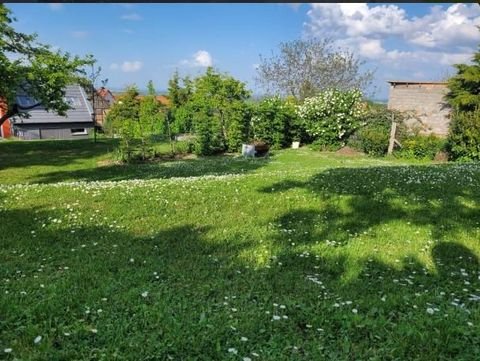 Witterda Häuser, Witterda Haus kaufen