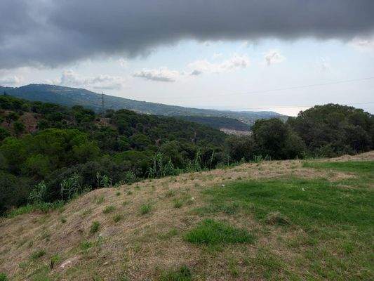 PHOTO-2025-08-06-10-50-37