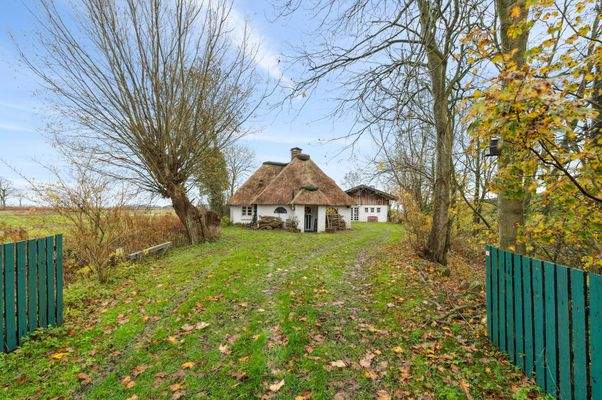 Einfahrt mit Blick auf das Haus