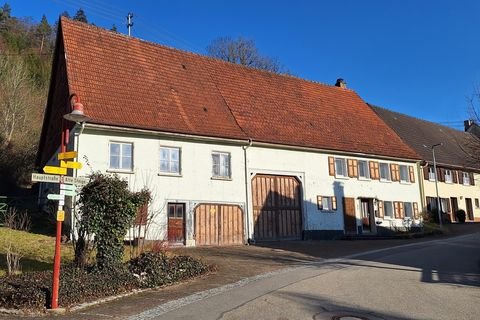 Reichenbach Häuser, Reichenbach Haus kaufen