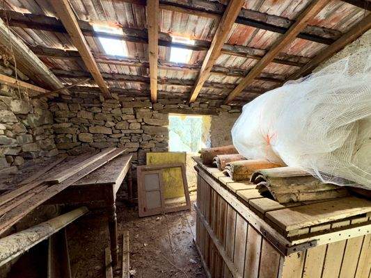 AP961_05 TERRA ITALIA IMMOBILIEN_LIGURIEN_APRICALE