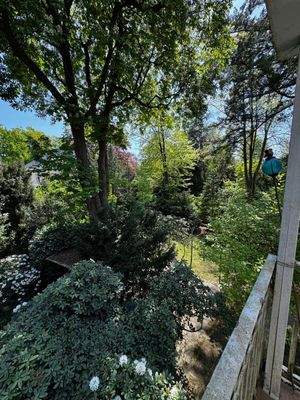 Blick in den parkähnlichen Garten