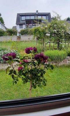 Jagdhausweg 12-Gartenansicht