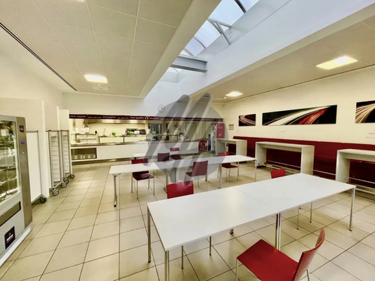 INFOS UNTER: 06171-586000