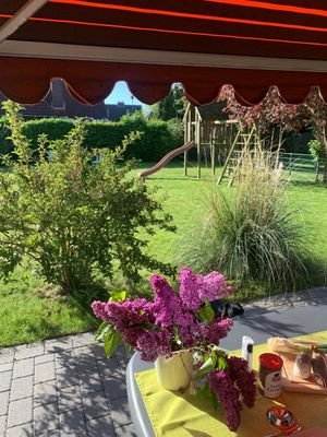 Blick von Terrasse in Garten