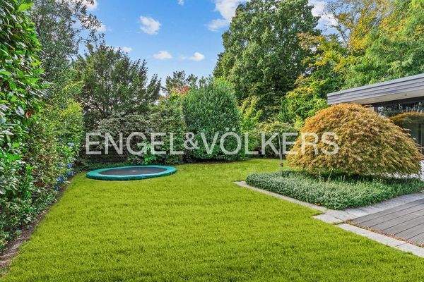 Sonniger, schön eingewachsener Garten