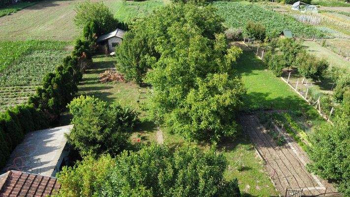 20240609_145722000_iOS