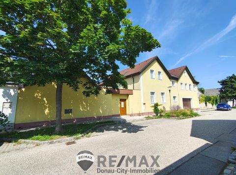 Pfaffstätten Grundstücke, Pfaffstätten Grundstück kaufen