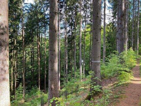Flossenbürg Grundstücke, Flossenbürg Grundstück kaufen