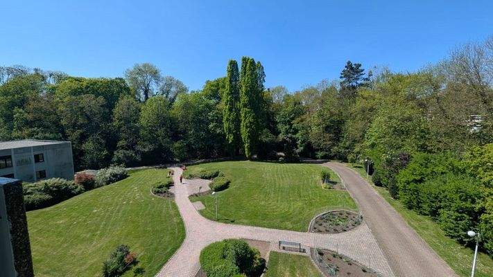 Blick in die Parkanlage