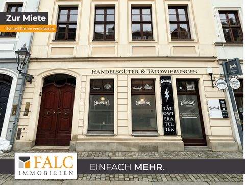 Dresden Ladenlokale, Ladenflächen 