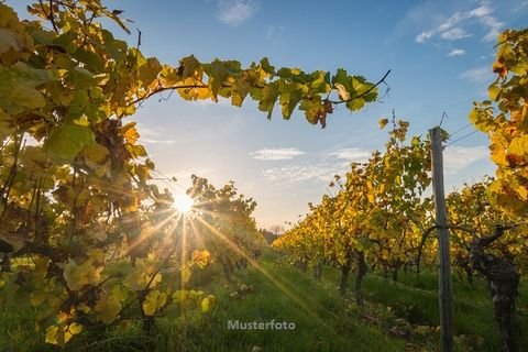 Gau-Weinheim Bauernhöfe, Landwirtschaft, Gau-Weinheim Forstwirtschaft