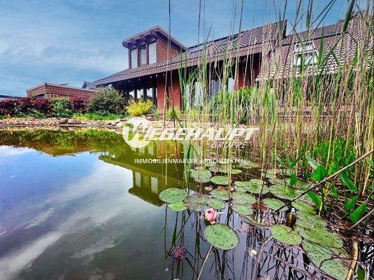 Teich Sued-West Ansicht