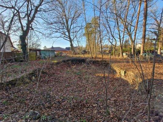 Grundstück_02_ leichter Aushub