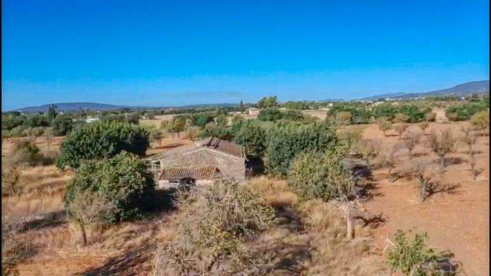 Projekt einer Finca mit Weinberg