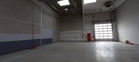 Kassel Halle, Kassel Hallenfläche