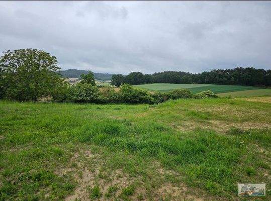 Landwirtschaftsfläche &quot;Axtfeld&quot; Gemarkung Walda