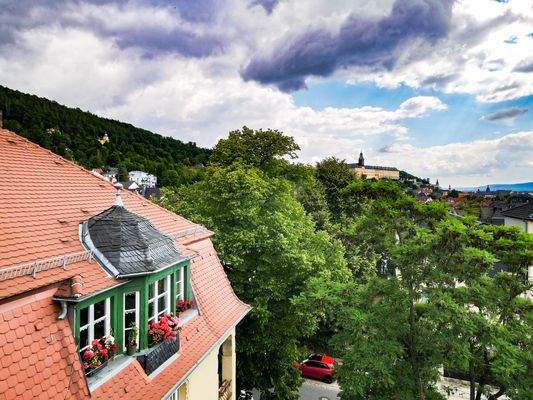 Blick zur Heidecksburg