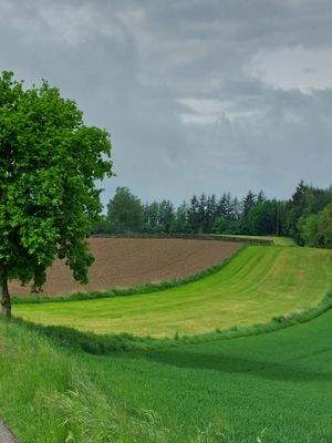 LeBa Teil der landw, Grundstücke.jpg