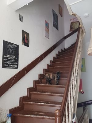 Treppe im EG / Eingangsbereich