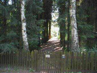 Grüne Oase in der Natur