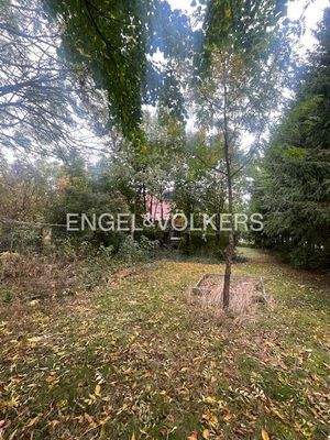 Eingebettet im Grünen