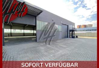 INFOS UNTER: 06171-586000