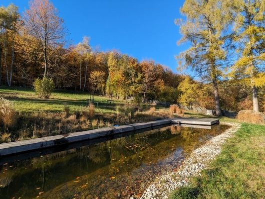 Schwimmbiotop, Herbstaufnahme