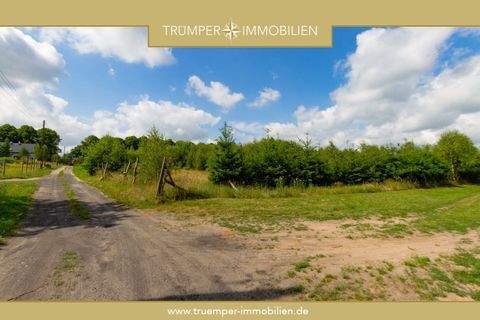 Niezyn Grundstücke, Niezyn Grundstück kaufen