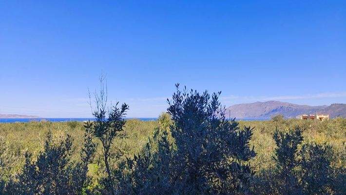 Kreta, Drapanias: Neubauhaus inmitten von Olivenhainen in Strandnähe zu verkaufen