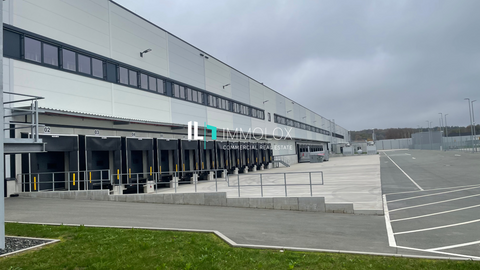 Amt Wachsenburg Halle, Amt Wachsenburg Hallenfläche