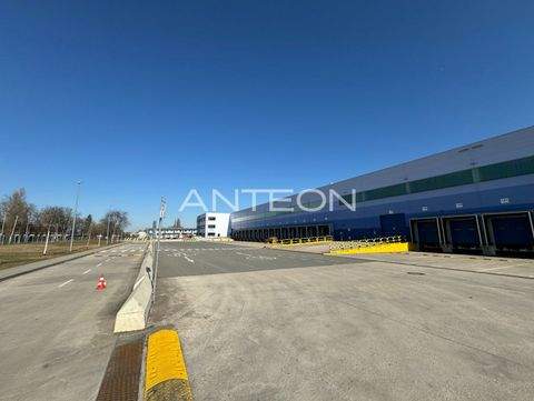 Dormagen Halle, Dormagen Hallenfläche