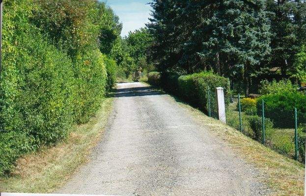 Oberer Zufahrtsweg zum Kaufgrundstück