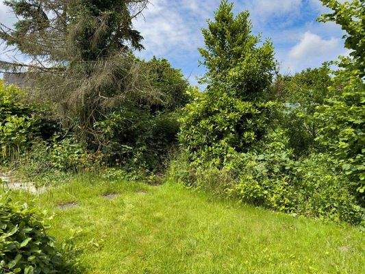 Großer eingewachsener Garten