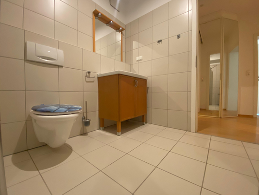 Badezimmer Einliegerwohnung