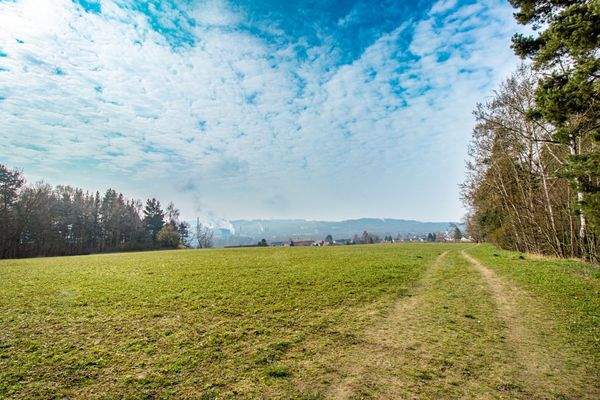 direkt neben dem Feld mit Weitblick