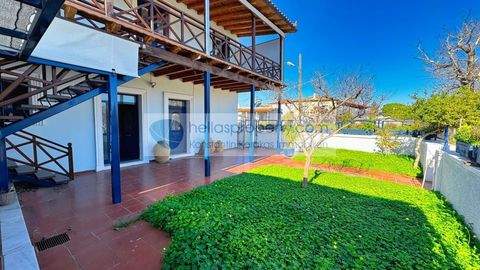 Valimitika - Aigio Häuser, Valimitika - Aigio Haus kaufen