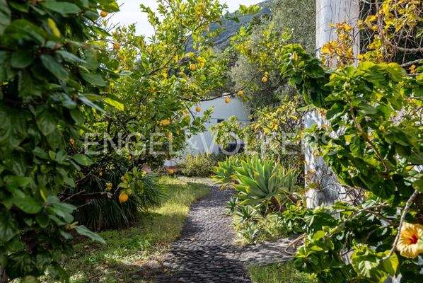 Screenshot 2025-03-31 165801.jpg