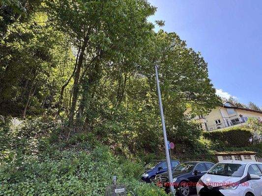 IMG_7198-www-50 Kopie.jpg