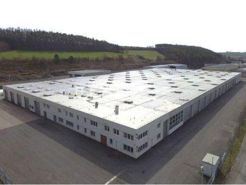 Buchen Halle, Buchen Hallenfläche