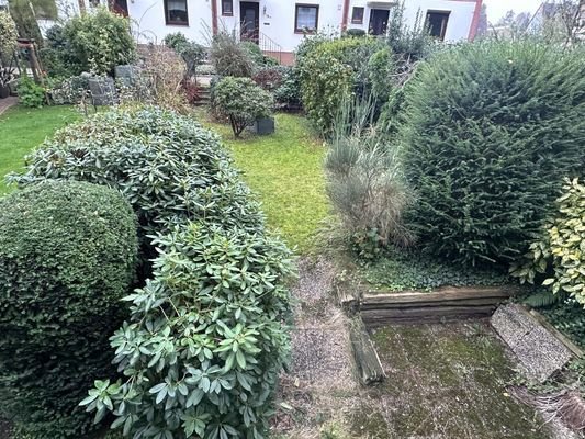 Blick in den Garten