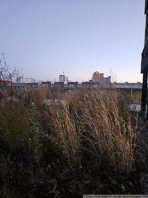 gemeinschaftliche Terrasse