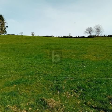 Burbach Grundstücke, Burbach Grundstück kaufen