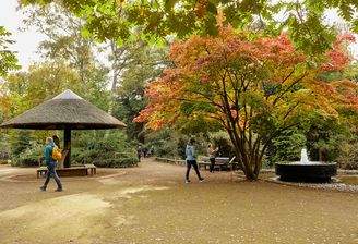 MOI TOI H22A2461Su_êdstadt 1