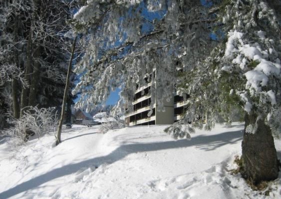 Bild 9