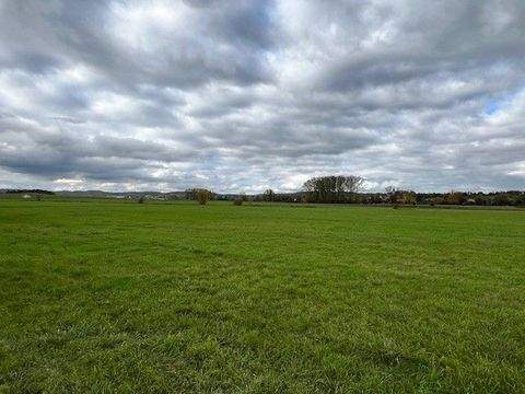 Deutenheim Bauernhöfe, Landwirtschaft, Deutenheim Forstwirtschaft