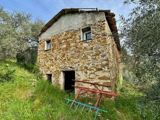 DA964_05 TERRA ITALIA IMMOBILIEN_LIGURIEN_DOLCEACQ