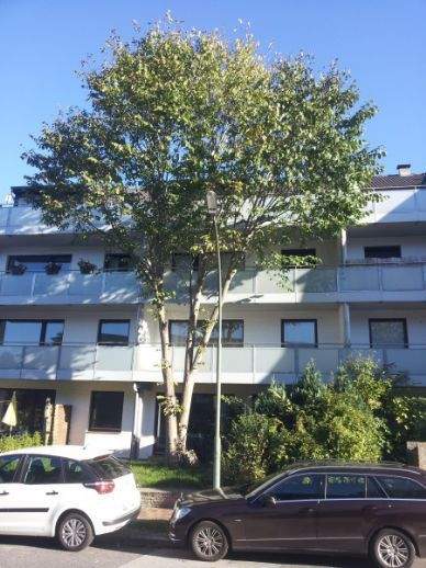 Flensburg Wohnungen, Flensburg Wohnung mieten