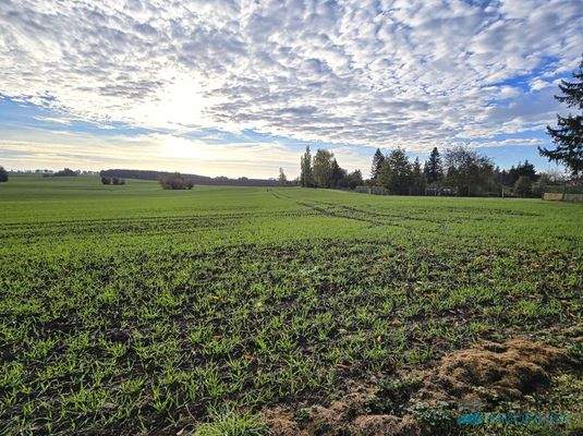 Unverbauter Blick in die Landschaft